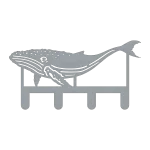 A laser-cut steel wall hook featuring a detailed design of a humpback whale, with textured cuts for fins and tail, and four sturdy hooks extending from the bottom. The metallic grey finish contrasts against a black background, highlighting the intricate whale pattern and sleek, modern design.